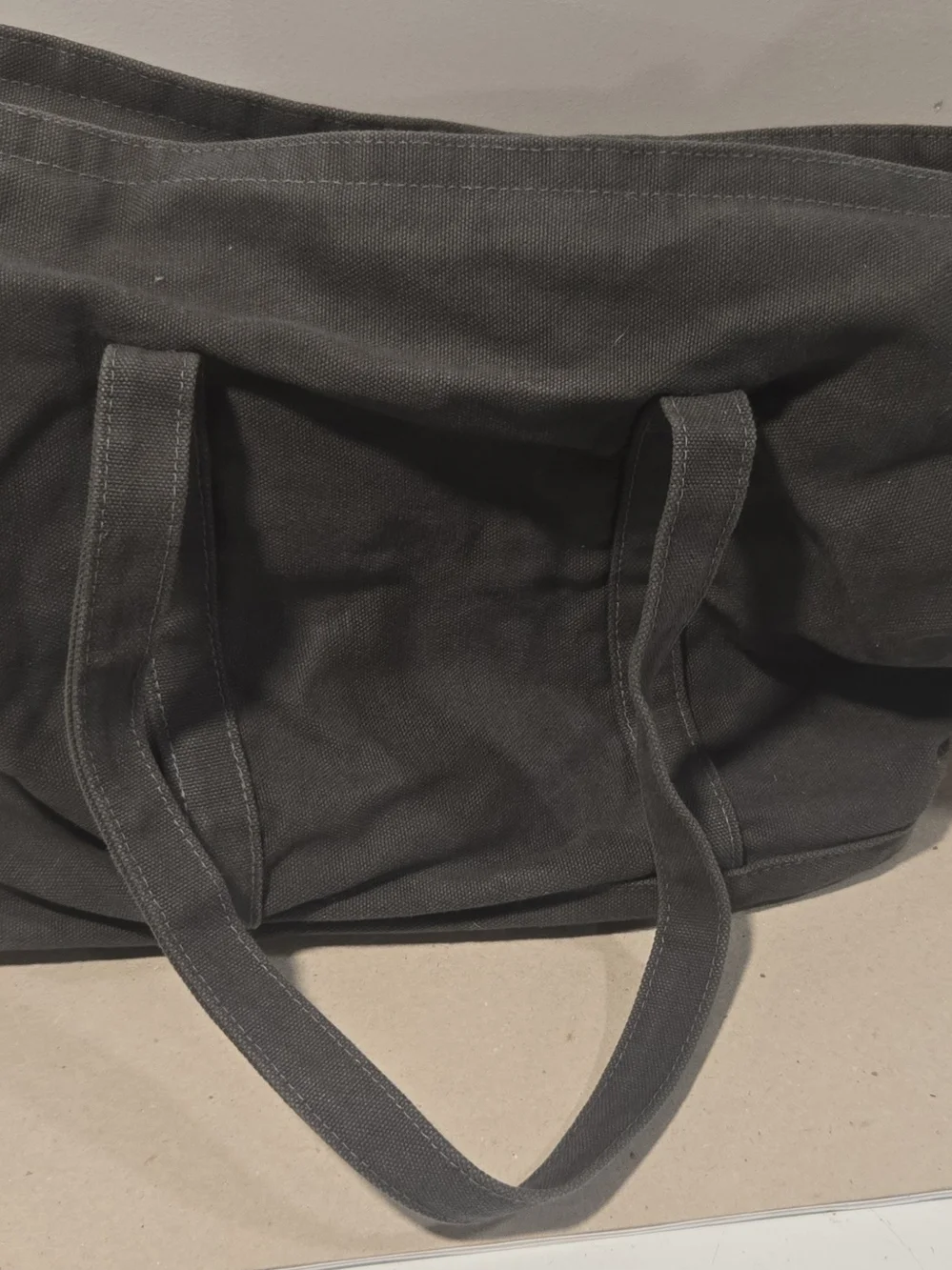 Love Thy Beast Gray Canvas Pet Tote